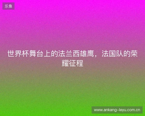 世界杯舞台上的法兰西雄鹰，法国队的荣耀征程